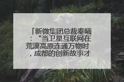 新微集团总裁秦曦：“当卫星互联网在荒漠高原连通万物时，成都的创新故事才真正开始”