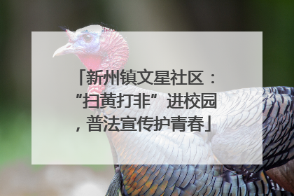 新州镇文星社区：“扫黄打非”进校园，普法宣传护青春