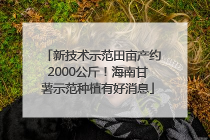 新技术示范田亩产约2000公斤！海南甘薯示范种植有好消息