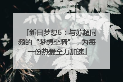新日梦想6：与苏超同频的“梦想坐骑”，为每一份热爱全力加速