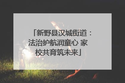 新野县汉城街道：法治护航润童心 家校共育筑未来