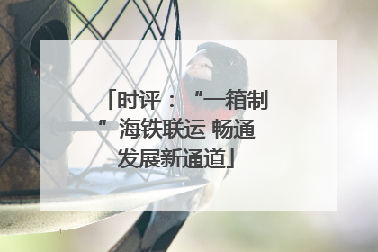 时评：“一箱制”海铁联运 畅通发展新通道