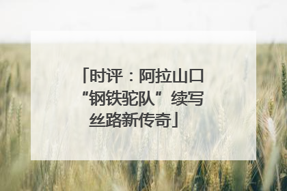时评：阿拉山口“钢铁驼队”续写丝路新传奇