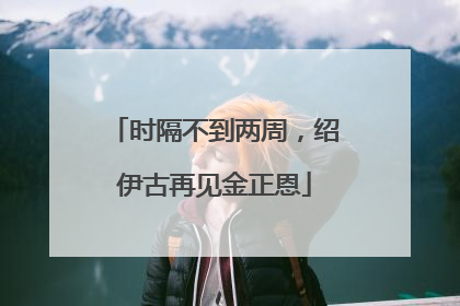 时隔不到两周，绍伊古再见金正恩