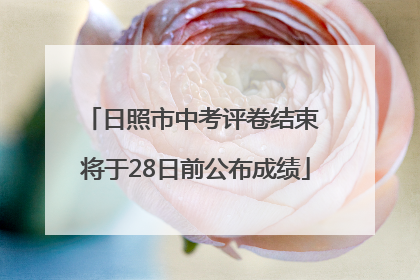 日照市中考评卷结束 将于28日前公布成绩