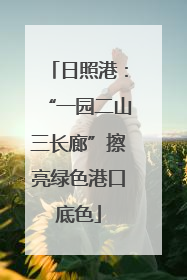日照港：“一园二山三长廊”擦亮绿色港口底色