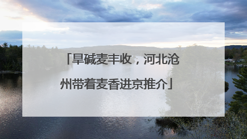 旱碱麦丰收，河北沧州带着麦香进京推介
