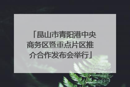 昆山市青阳港中央商务区暨重点片区推介合作发布会举行