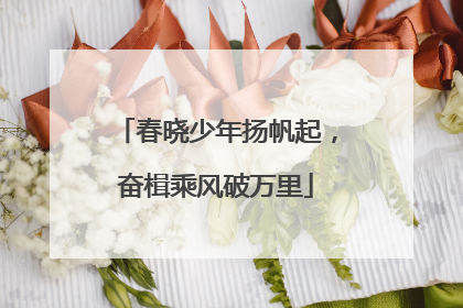 春晓少年扬帆起，奋楫乘风破万里