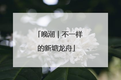 晚潮｜不一样的新塘龙舟