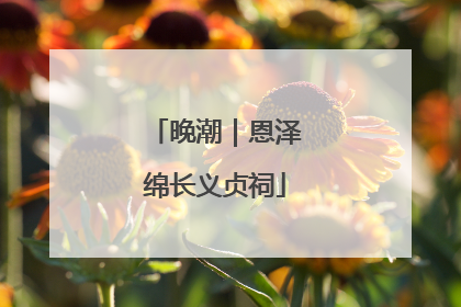 晚潮｜恩泽绵长义贞祠