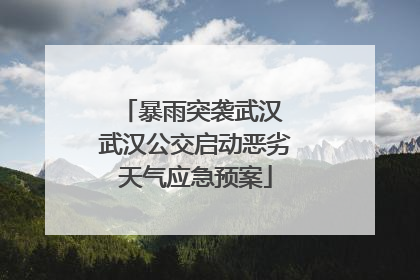 暴雨突袭武汉 武汉公交启动恶劣天气应急预案
