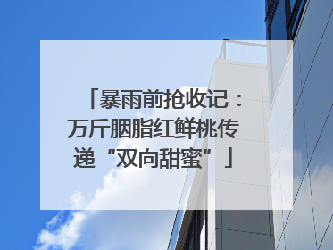 暴雨前抢收记：万斤胭脂红鲜桃传递“双向甜蜜”