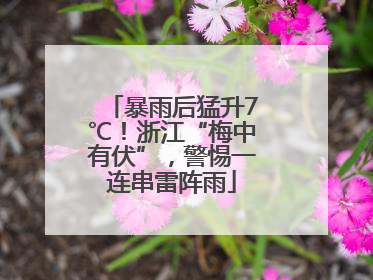 暴雨后猛升7℃！浙江“梅中有伏”，警惕一连串雷阵雨