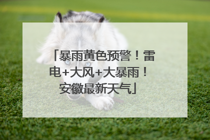 暴雨黄色预警！雷电+大风+大暴雨！安徽最新天气