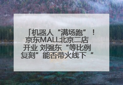 机器人“满场跑”！京东MALL北京二店开业 刘强东“等比例复刻”能否带火线下“618”？