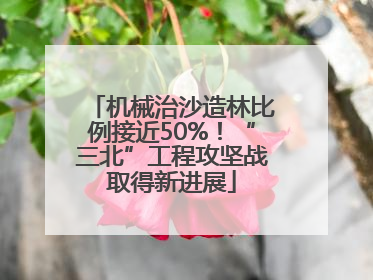 机械治沙造林比例接近50%！“三北”工程攻坚战取得新进展