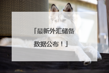 最新外汇储备数据公布！