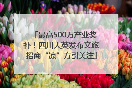 最高500万产业奖补！四川大英发布文旅招商“凉”方引关注