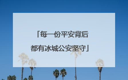 每一份平安背后 都有冰城公安坚守