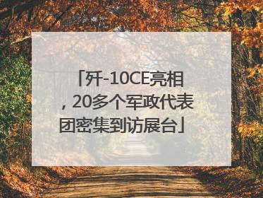 歼-10CE亮相，20多个军政代表团密集到访展台
