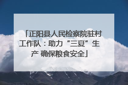 正阳县人民检察院驻村工作队：助力“三夏”生产 确保粮食安全