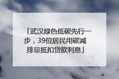 武汉绿色低碳先行一步，39位居民用碳减排量抵扣贷款利息