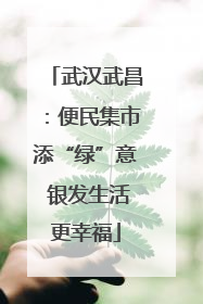 武汉武昌：便民集市添“绿”意 银发生活更幸福
