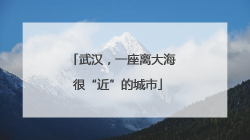 武汉，一座离大海很“近”的城市