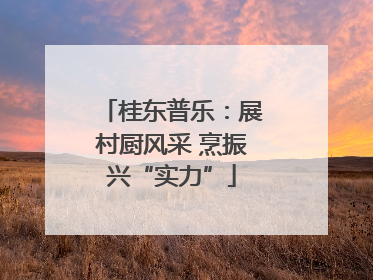 桂东普乐：展村厨风采 烹振兴“实力”