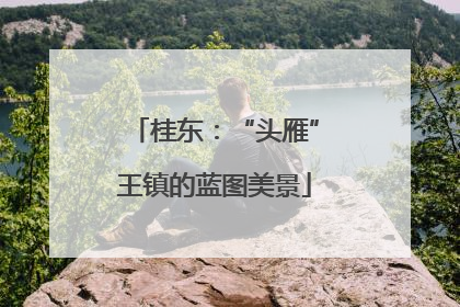 桂东：“头雁”王镇的蓝图美景