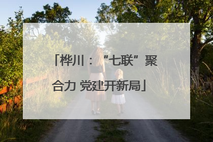 桦川：“七联”聚合力 党建开新局
