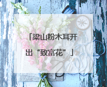 梁山粉木耳开出“致富花”