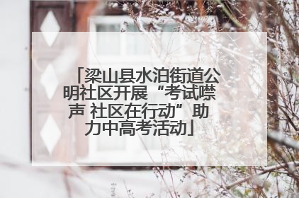 梁山县水泊街道公明社区开展“考试噤声 社区在行动”助力中高考活动