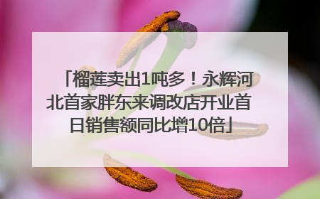 榴莲卖出1吨多！永辉河北首家胖东来调改店开业首日销售额同比增10倍