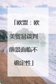 欧盟：欧美贸易谈判前景面临不确定性
