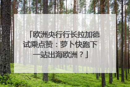 欧洲央行行长拉加德试乘点赞：萝卜快跑下一站出海欧洲？