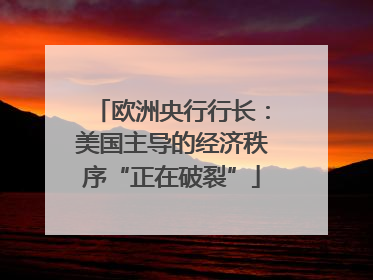 欧洲央行行长：美国主导的经济秩序“正在破裂”