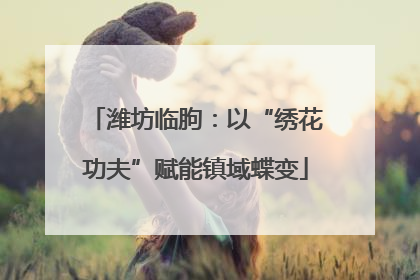 潍坊临朐：以“绣花功夫”赋能镇域蝶变