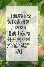 潍坊市经贸代表团参加2025港澳山东周并开展系列招商洽谈活动