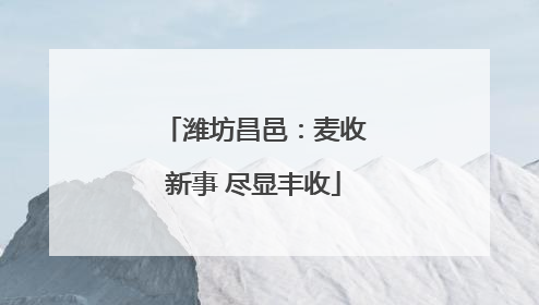 潍坊昌邑：麦收新事 尽显丰收