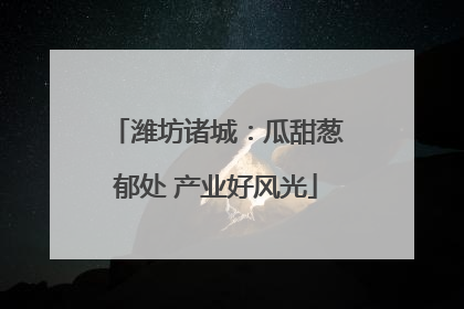 潍坊诸城：瓜甜葱郁处 产业好风光