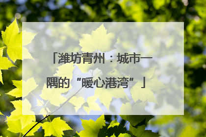 潍坊青州：城市一隅的“暖心港湾”