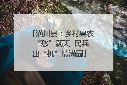 潢川县：乡村果农“愁”满天  民兵出“机”情满园
