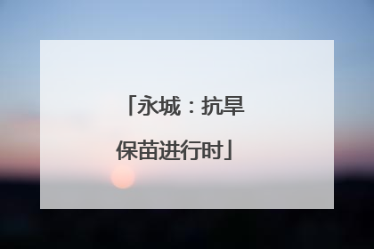 永城：抗旱保苗进行时