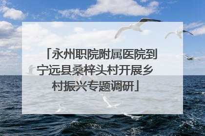 永州职院附属医院到宁远县桑梓头村开展乡村振兴专题调研