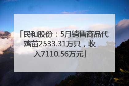 民和股份：5月销售商品代鸡苗2533.31万只，收入7110.56万元