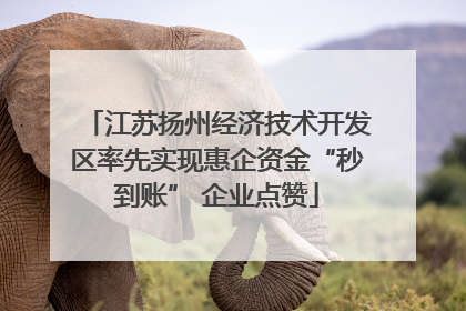 江苏扬州经济技术开发区率先实现惠企资金“秒到账” 企业点赞