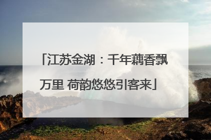 江苏金湖：千年藕香飘万里 荷韵悠悠引客来