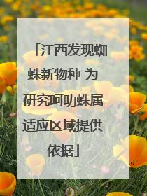 江西发现蜘蛛新物种 为研究呵叻蛛属适应区域提供依据